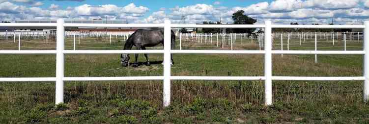 EquiSafe Koppelzaun